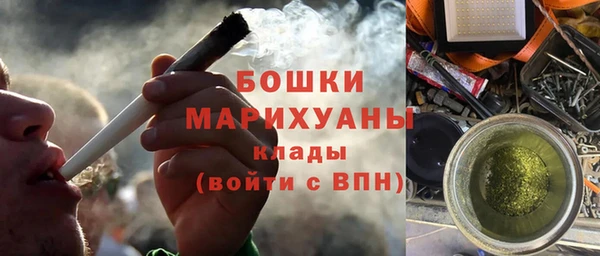 мдпв Богданович