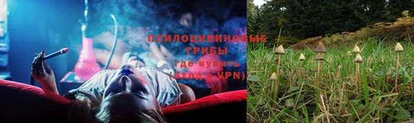 бошки Богородицк