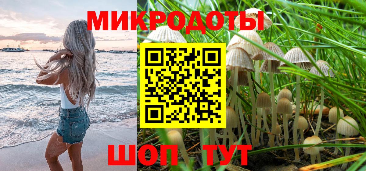 Галлюциногенные грибы мицелий  Вход с VPN  Северск 