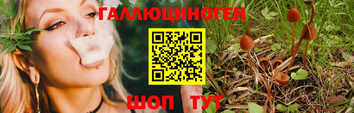 Галлюциногенные грибы ЛСД Северск
